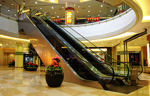 2016年西尼電梯評選為“中國十大最受歡迎電梯品牌”